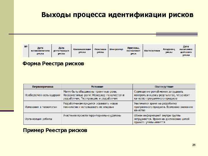 Реестр бюджетных рисков образец