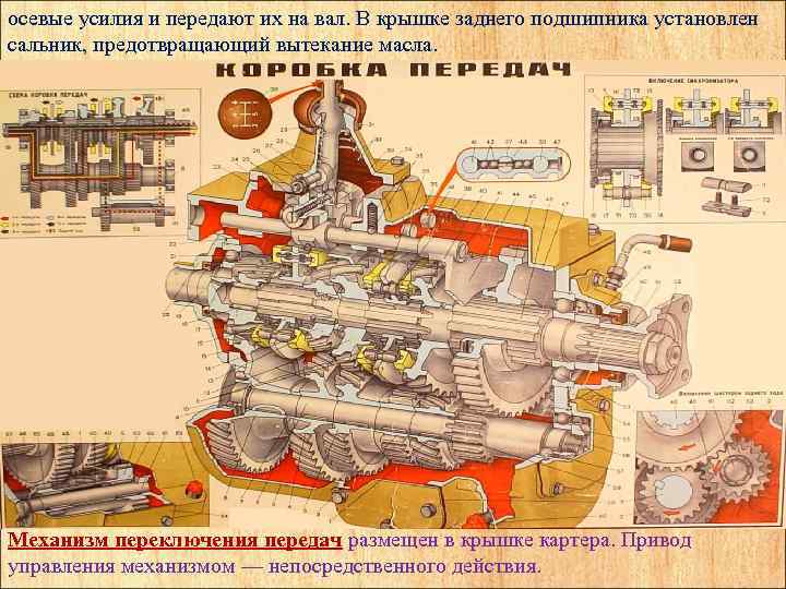 осевые усилия и передают их на вал. В крышке заднего подшипника установлен сальник, предотвращающий
