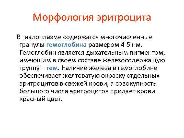 Морфология эритроцита В гиалоплазме содержатся многочисленные гранулы гемоглобина размером 4 -5 нм. Гемоглобин является