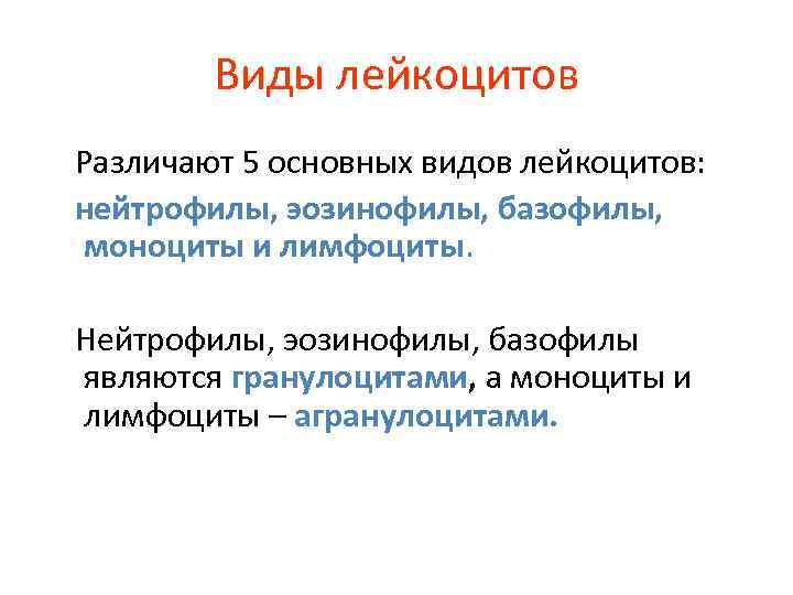 Виды лейкоцитов Различают 5 основных видов лейкоцитов: нейтрофилы, эозинофилы, базофилы, моноциты и лимфоциты. Нейтрофилы,