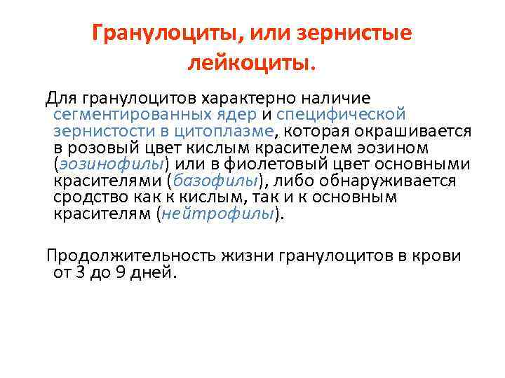 Гранулоциты, или зернистые лейкоциты. Для гранулоцитов характерно наличие сегментированных ядер и специфической зернистости в