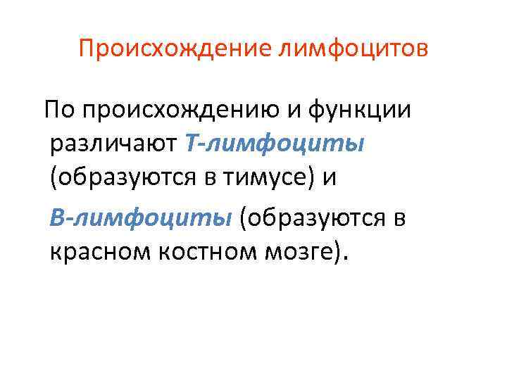Происхождение лимфоцитов По происхождению и функции различают Т-лимфоциты (образуются в тимусе) и В-лимфоциты (образуются