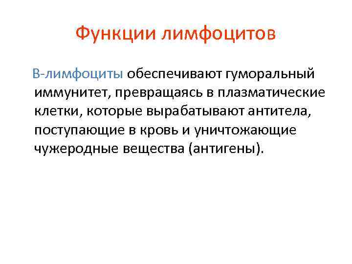 Функции лимфоцитов В-лимфоциты обеспечивают гуморальный иммунитет, превращаясь в плазматические клетки, которые вырабатывают антитела, поступающие