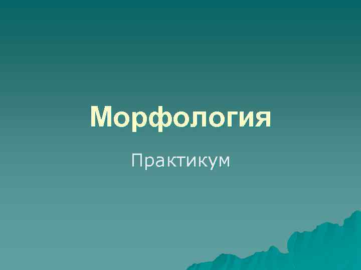 Морфология Практикум 