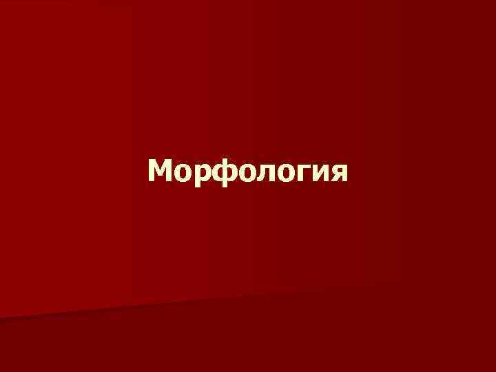 Морфология 