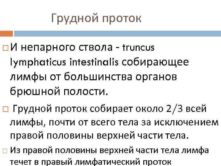 Грудной проток И непарного ствола - truncus lymphaticus intestinalis собирающее лимфы от большинства органов