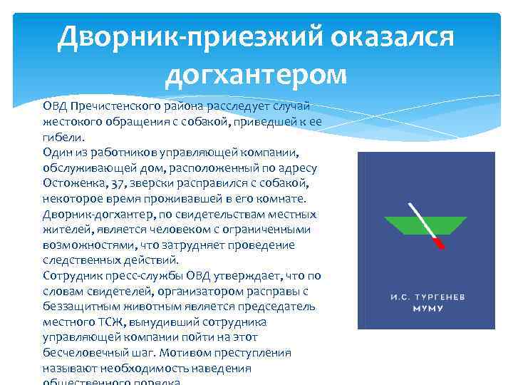 Дворник-приезжий оказался догхантером ОВД Пречистенского района расследует случай жестокого обращения с собакой, приведшей к