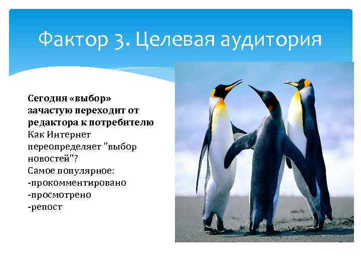 Фактор 3. Целевая аудитория Сегодня «выбор» зачастую переходит от редактора к потребителю Как Интернет