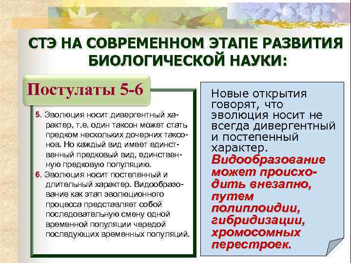 СТЭ НА СОВРЕМЕННОМ ЭТАПЕ РАЗВИТИЯ БИОЛОГИЧЕСКОЙ НАУКИ: Постулаты 5 -6 5. Эволюция носит дивергентный