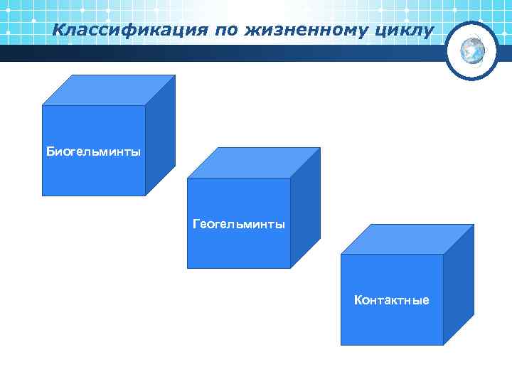 Классификация по жизненному циклу Биогельминты Геогельминты Контактные 