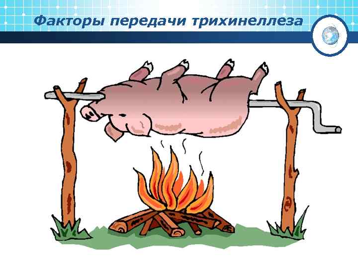 Факторы передачи трихинеллеза 