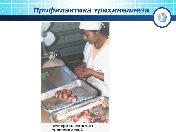 Профилактика трихинеллеза 