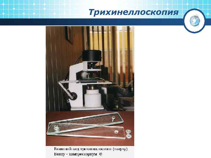 Трихинеллоскопия 