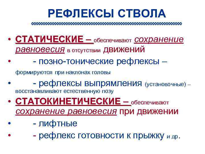 РЕФЛЕКСЫ СТВОЛА • СТАТИЧЕСКИЕ – обеспечивают сохранение равновесия в отсутствии движений • - позно-тонические