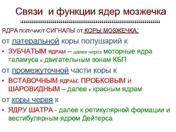 Связи и функции ядер мозжечка ЯДРА ПОЛУЧАЮТ СИГНАЛЫ ОТ КОРЫ МОЗЖЕЧКА: от латеральной коры