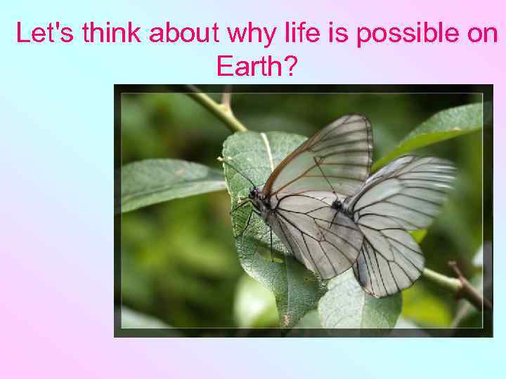 Let's think about why life is possible on Earth? 