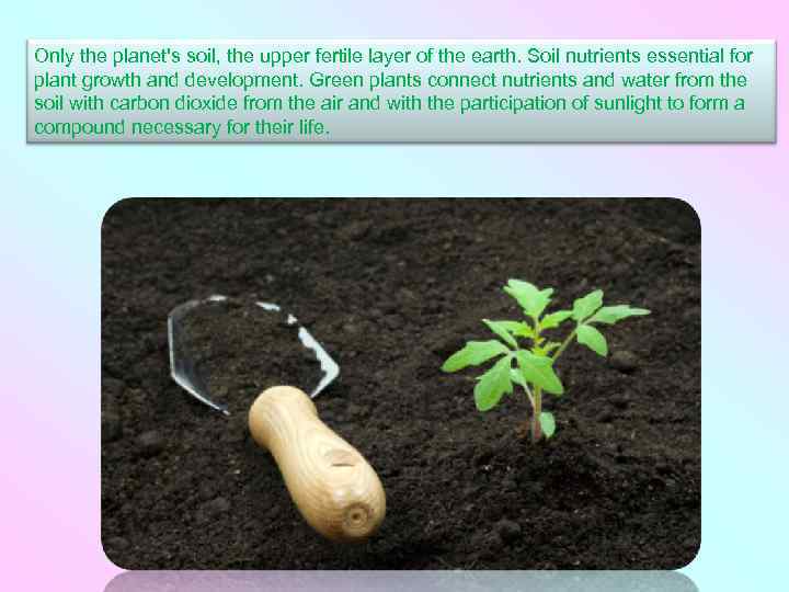 Only the planet's soil, the upper fertile layer of the earth. Soil nutrients essential