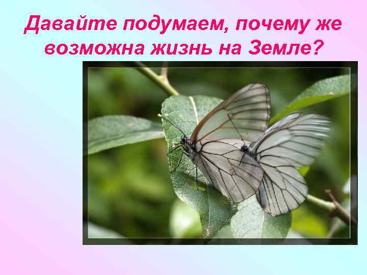 Давайте подумаем, почему же возможна жизнь на Земле? 