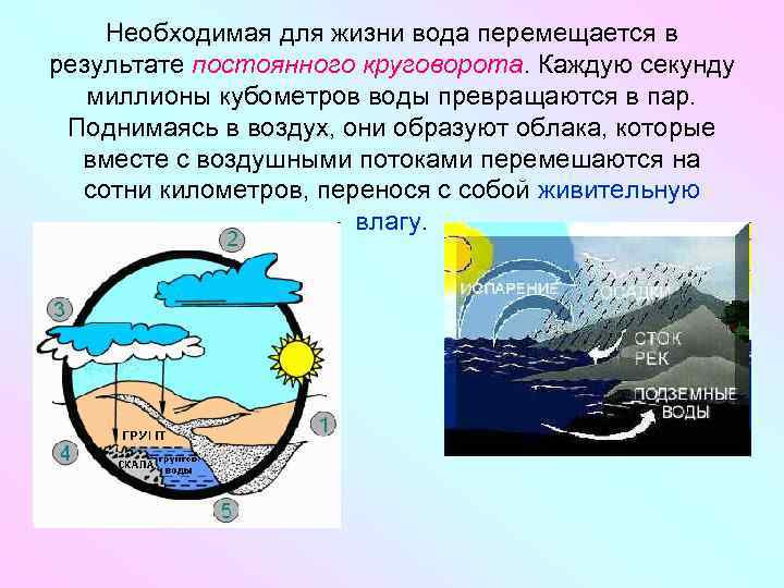 Необходимая для жизни вода перемещается в результате постоянного круговорота. Каждую секунду миллионы кубометров воды