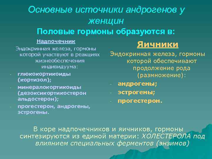 Основные источники андрогенов у женщин Половые гормоны образуются в: - - Надпочечник Эндокринная железа,