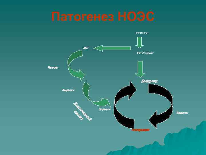 Патогенез НОЭС СТРЕСС АКТГ Β-эндорфины Кортизол Дофармин Андрогены ый дн на з его нте