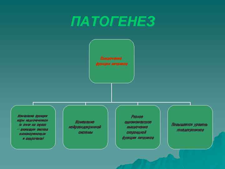 ПАТОГЕНЕЗ Выключение функции яичников Изменение функции коры надпочечников (в ответ на стресс – активация