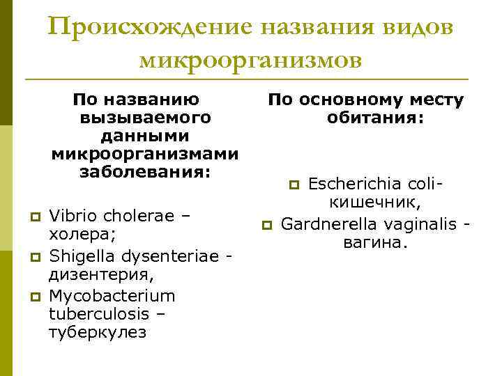 Происхождение названия видов микроорганизмов По названию вызываемого данными микроорганизмами заболевания: p p p Vibrio