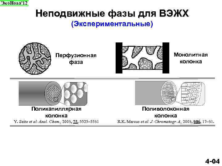 Эко. Нова'12 Неподвижные фазы для ВЭЖХ (Экспериментальные) Перфузионная фаза Монолитная колонка Поликапиллярная колонка Поливолоконная