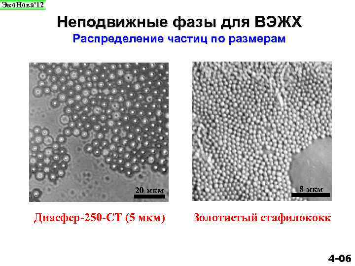 Эко. Нова'12 Неподвижные фазы для ВЭЖХ Распределение частиц по размерам 20 мкм Диасфер-250 -СТ