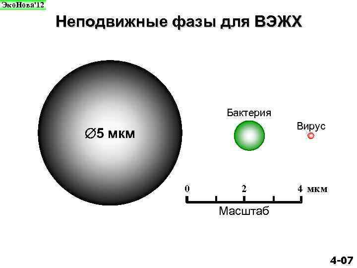 Эко. Нова'12 Неподвижные фазы для ВЭЖХ Бактерия Вирус 5 мкм 0 2 4 мкм