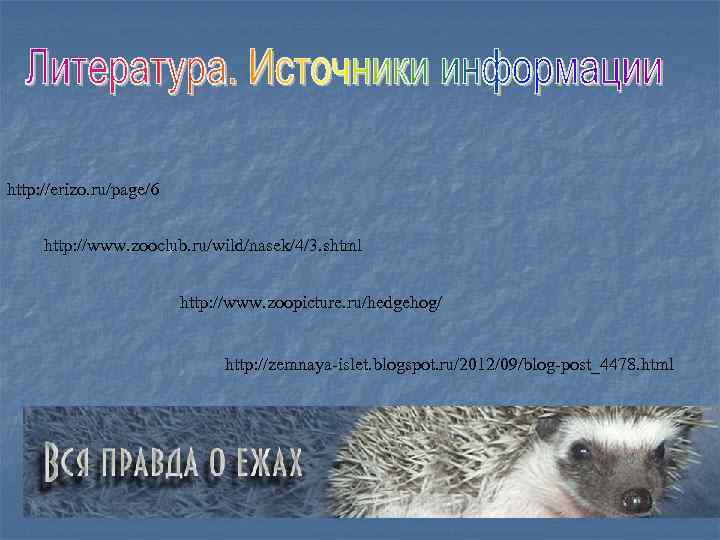 http: //erizo. ru/page/6 http: //www. zooclub. ru/wild/nasek/4/3. shtml http: //www. zoopicture. ru/hedgehog/ http: //zemnaya-islet.