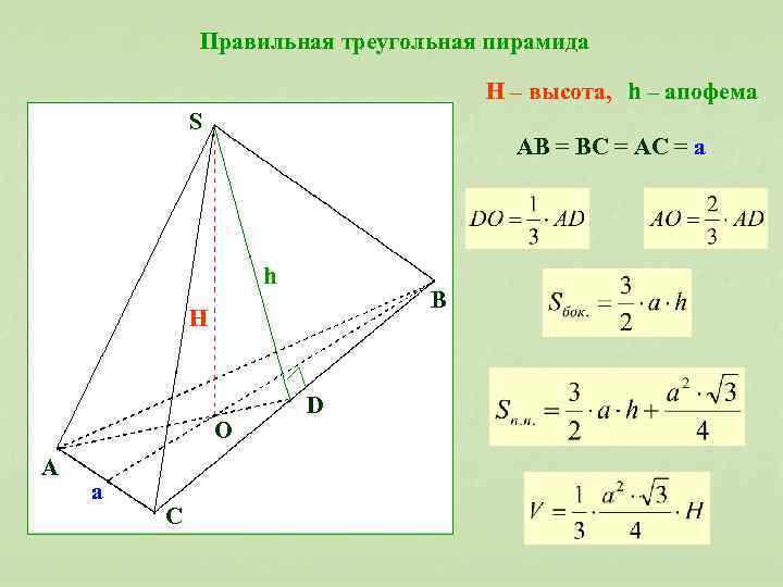 Правильная треугольная пирамида H – высота, h – апофема S AB = BC =