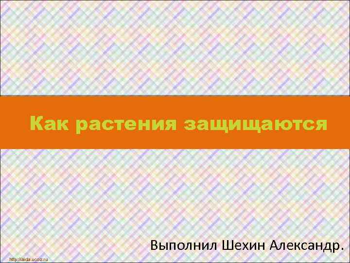 Как растения защищаются Выполнил Шехин Александр. http: //aida. ucoz. ru 