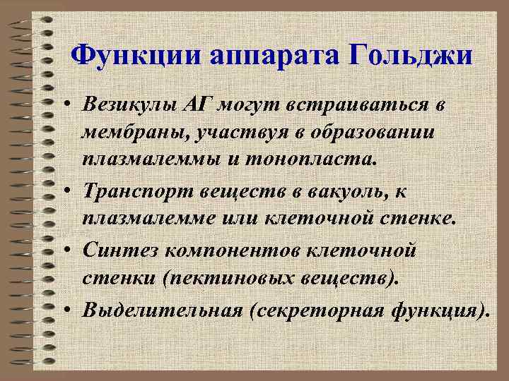 Функции аппарата Гольджи • Везикулы АГ могут встраиваться в мембраны, участвуя в образовании плазмалеммы