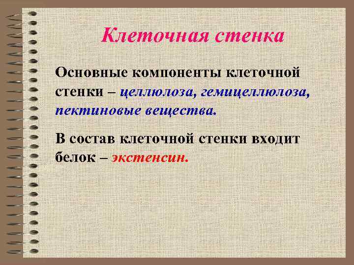  Клеточная стенка Основные компоненты клеточной стенки – целлюлоза, гемицеллюлоза, пектиновые вещества. В состав