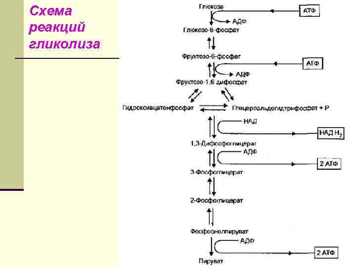 Восстановите левую часть схемы реакций