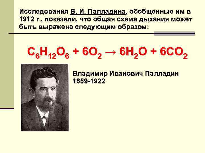 Исследования В. И. Палладина, обобщенные им в 1912 г. , показали, что общая схема