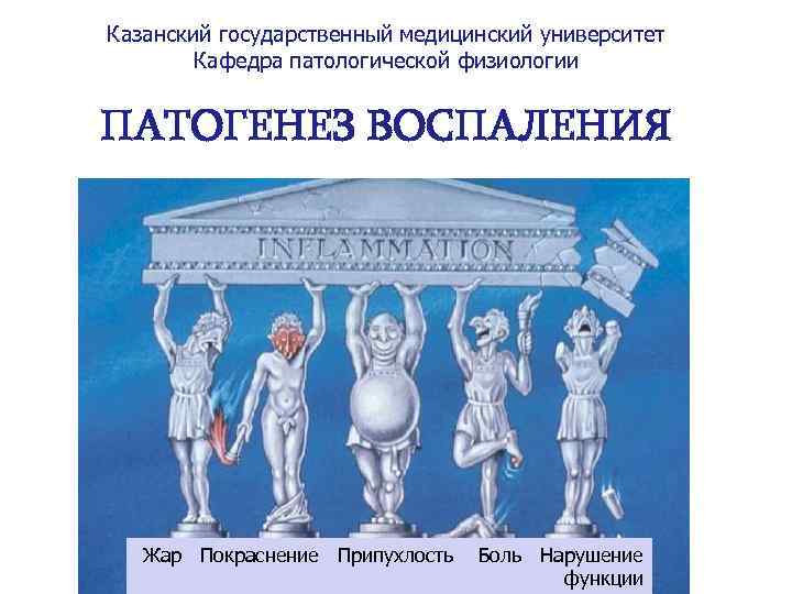 Казанский государственный медицинский университет Кафедра патологической физиологии ПАТОГЕНЕЗ ВОСПАЛЕНИЯ Жар Покраснение Припухлость Боль Нарушение
