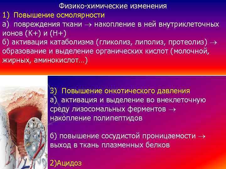 Физико-химические изменения 1) Повышение осмолярности a) повреждения ткани накопление в ней внутриклеточных ионов (K+)