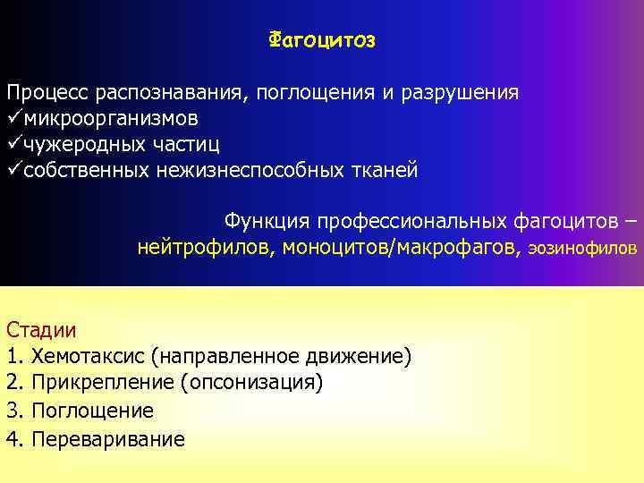 Фагоцитоз Процесс распознавания, поглощения и разрушения üмикроорганизмов üчужеродных частиц üсобственных нежизнеспособных тканей Функция профессиональных