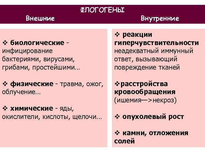 Внешние ФЛОГОГЕНЫ v биологические инфицирование бактериями, вирусами, грибами, простейшими… v физические - травма, ожог,