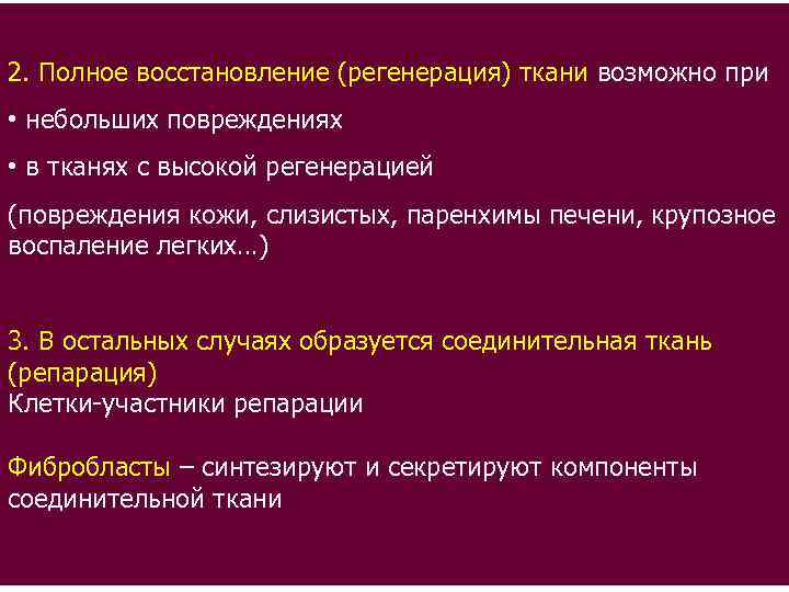 2. Полное восстановление (регенерация) ткани возможно при • небольших повреждениях • в тканях с
