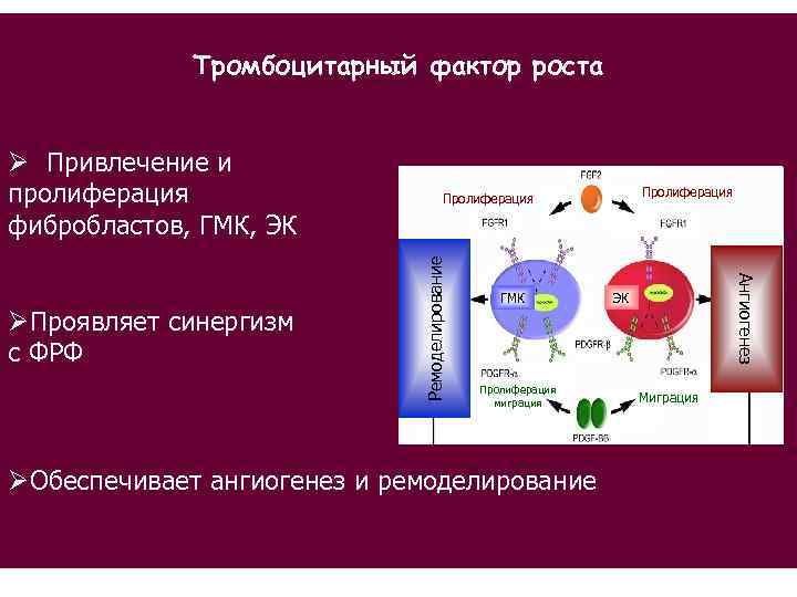 Фактор роста ответы