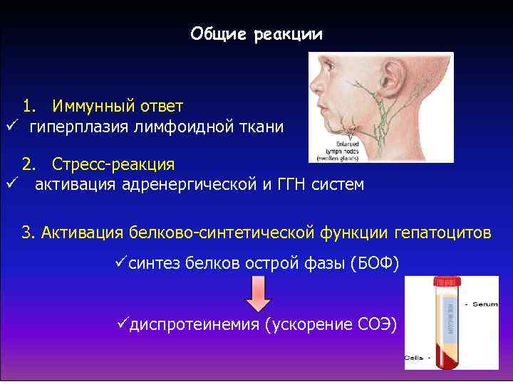 Какие клинические проявления соответствуют картине истинного полиморфизма