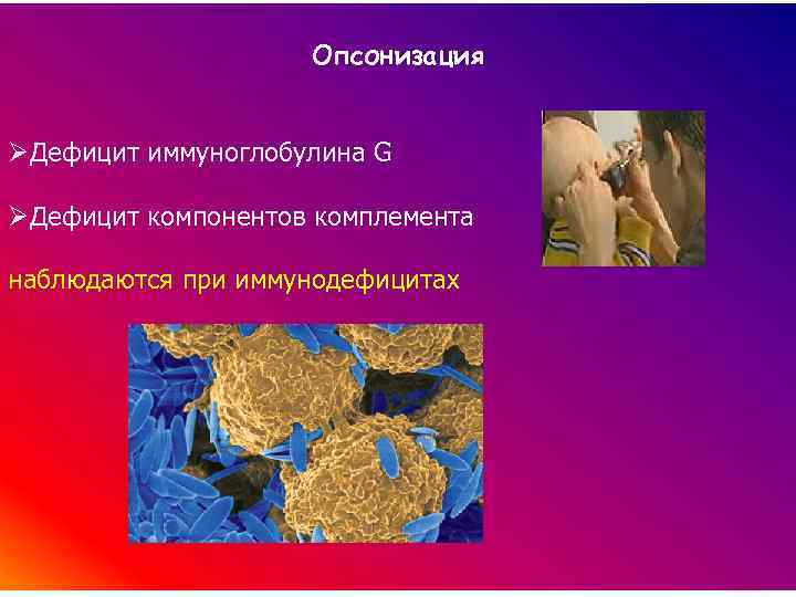 Опсонизация ØДефицит иммуноглобулина G ØДефицит компонентов комплемента наблюдаются при иммунодефицитах 