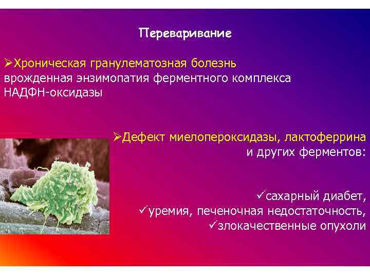 Игма патофизиология план