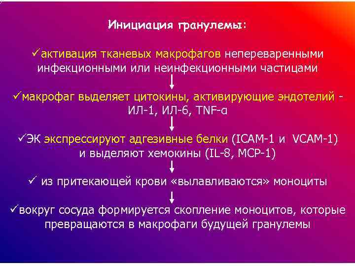 Инициация гранулемы: üактивация тканевых макрофагов непереваренными инфекционными или неинфекционными частицами üмакрофаг выделяет цитокины, активирующие