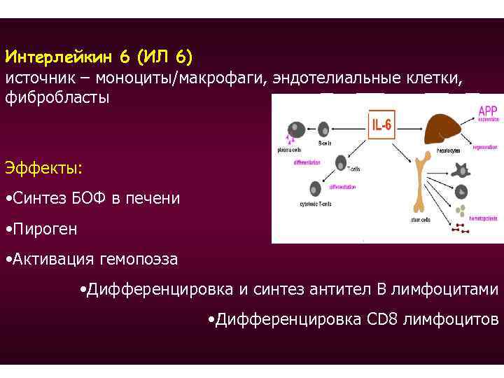 Интерлейкин 6. Ил 6 интерлейкин. Клетки мишени интерлейкина 6. Интерлейкин 6 (il-6). Интерлейкин-6 (ил-6/il-6) 289,8 ▲.