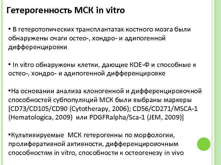 Гетерогенность МСК in vitro • В гетеротопических трансплантатах костного мозга были обнаружены очаги остео-,