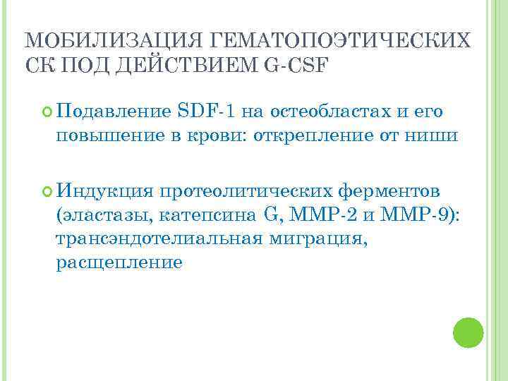 МОБИЛИЗАЦИЯ ГЕМАТОПОЭТИЧЕСКИХ СК ПОД ДЕЙСТВИЕМ G-CSF Подавление SDF-1 на остеобластах и его повышение в
